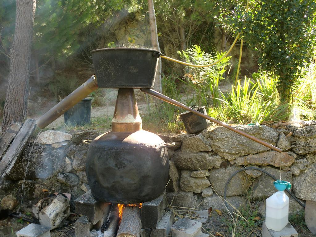 Quinta Do Circo - Serra Da Estrela - Turismo Rural Cortes do Meio Esterno foto